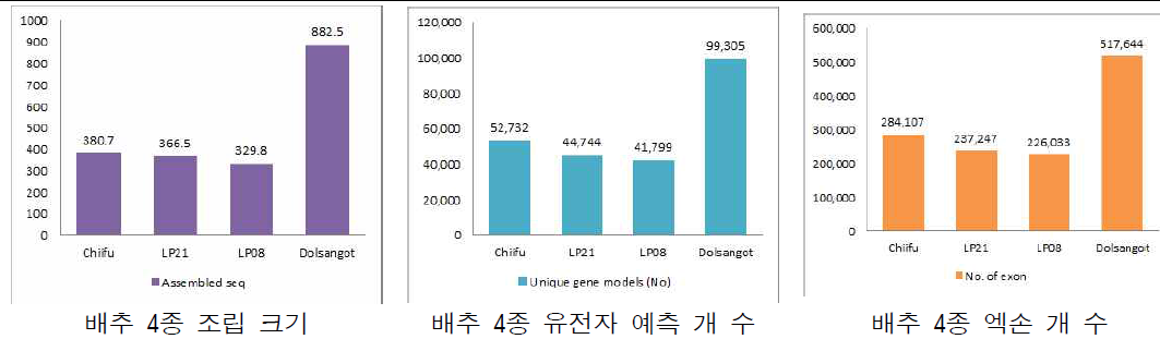 배추종 3종에 대한 두 배 이상을 보이는 돌산갓 유전체 조립 크기, 유전자 수, 엑손 등 예측 개 수