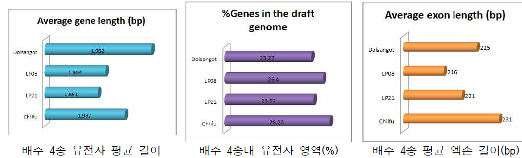 배추속의 유전자 특성을 나타내는 유전자 평균 길이, 유전자 영역 %, 엑손 길이(bp)