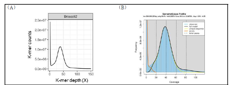 K-mer frequency distribution for genome size estimation. Illumina short reads were subjected for 25-mer counts using the Jellyfish program. (A) Distribution of 25-mer counts. Genome size was estimated as 602,107,735 bp. (B) Distribution of 25-mer counts plotted using GenomeScope