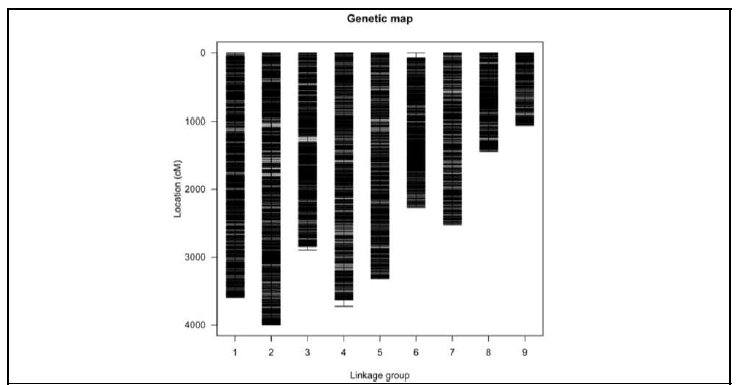 Linkage map constructed using F2 population