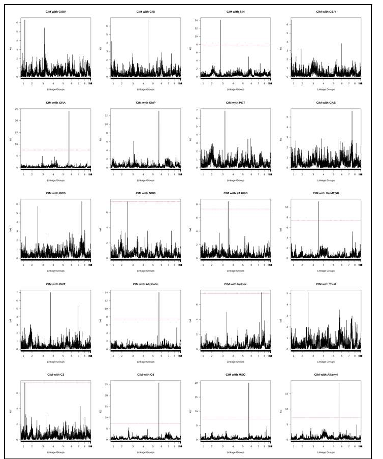 Mapping of QTL linked with glucosinolate phenotype in F2 population