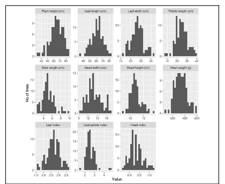 Morphological characteristics in broccoli germplasms