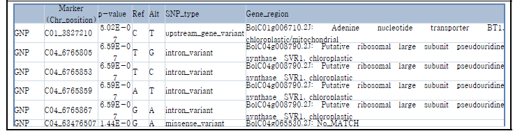 List of SNPs showing association with the phenotype