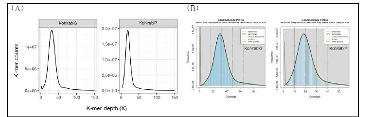 K-mer frequency distribution for genome size estimation. Illumina short reads were subjected for 25-mer counts using the Jellyfish program. (A) Distribution of 25-mer counts. Genome size was estimated as 594,114,025 bp for KohlrabiG and 628,404,052 bp for KohlrabiP. (B) Distribution of 25-mer counts plotted using GenomeScope