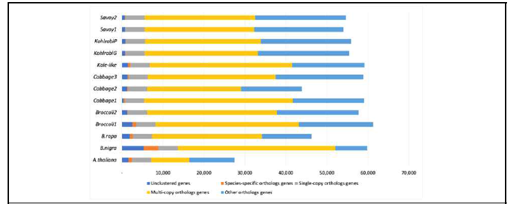 Clustering of orthologous genes using OrthoFinder