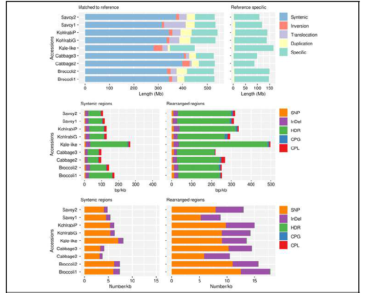 Summary of structural variant identified in B. oleracea subspecies