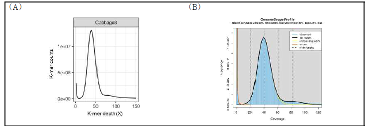 K-mer frequency distribution for genome size estimation. Illumina short reads were subjected for 25-mer counts using the Jellyfish program. (A) Distribution of 25-mer counts. Genome size was estimated as 583,750,417 bp. (B) Distribution of 25-mer counts plotted using GenomeScope