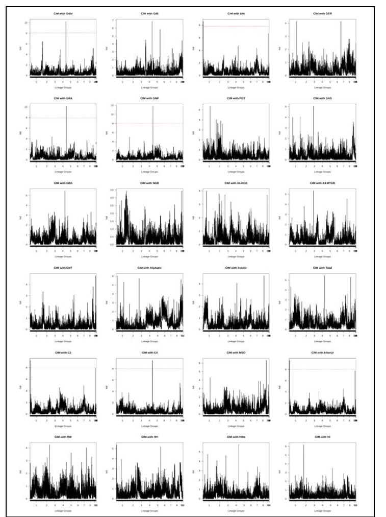 Mapping of QTL linked with glucosinolate phenotype in F2 population