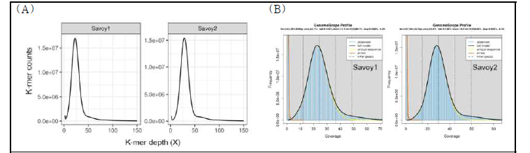 K-mer frequency distribution for genome size estimation. Illumina short reads were subjected for 25-mer counts using the Jellyfish program. (A) Distribution of 25-mer counts. Genome size was estimated as 598,588,430 bp for Savoy1 and 597,088,256 bp for Savoy2. (B) Distribution of 25-mer counts plotted using GenomeScope