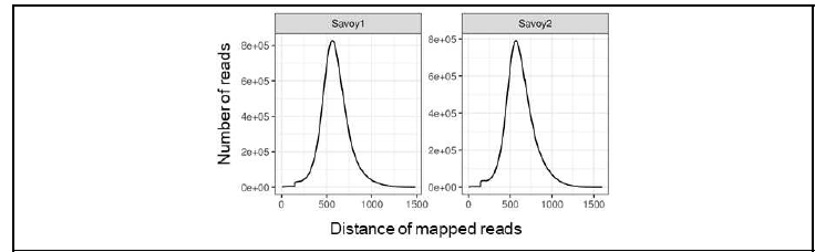 Distribution of physical distance of Illumina paired-end reads mapped to the assemble genomes of B. oleracea var. sabauda