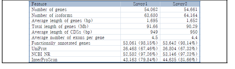 Statistics of protein-coding genes in the Savoy cabbage genomes