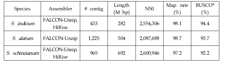 indicum, S. alatum, S. schinziamum 조립 결과