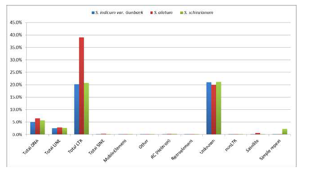 S. indicum, S. alatum, S. schinziamum의 반복서열 비율