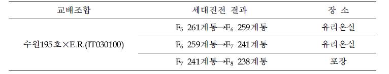 참깨 내탈립 재조합자식계통의 세대진전 결과