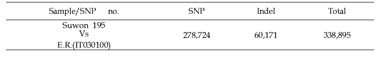 수원195호와 E.R.(IT030100) 간 변이 SNP, InDel 구분