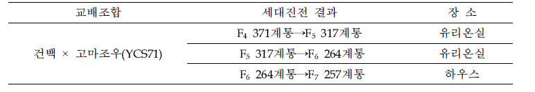 리그난 재조합자식계통의 세대진전 결과