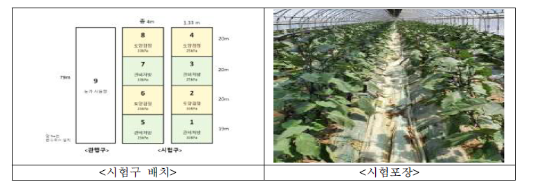 가지 시험포장 시험구 배치 및 포장 전경