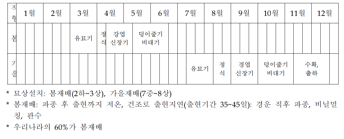 감자 시기별 생육과정