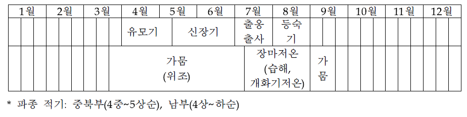 옥수수 시기별 생육과정