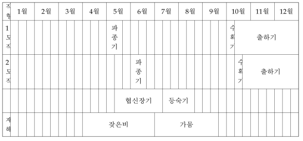 콩 시기별 생육과정