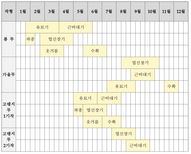 무 생육단계 정리