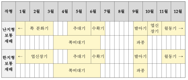 마늘 생육단계 정리