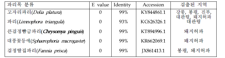 메밀밭 및 돼지허파에서 수집한 파리목의 mtCO1 부분 염기서열에 대한 BLAST 결과요약