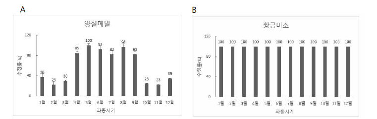 메밀 월별 파종에 따른 품종별 수정률 비교(2019-2021). A, 양절메밀; B, 황금미소
