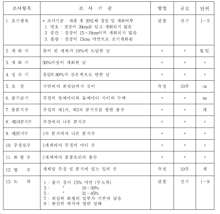 메밀 생육 및 특성조사