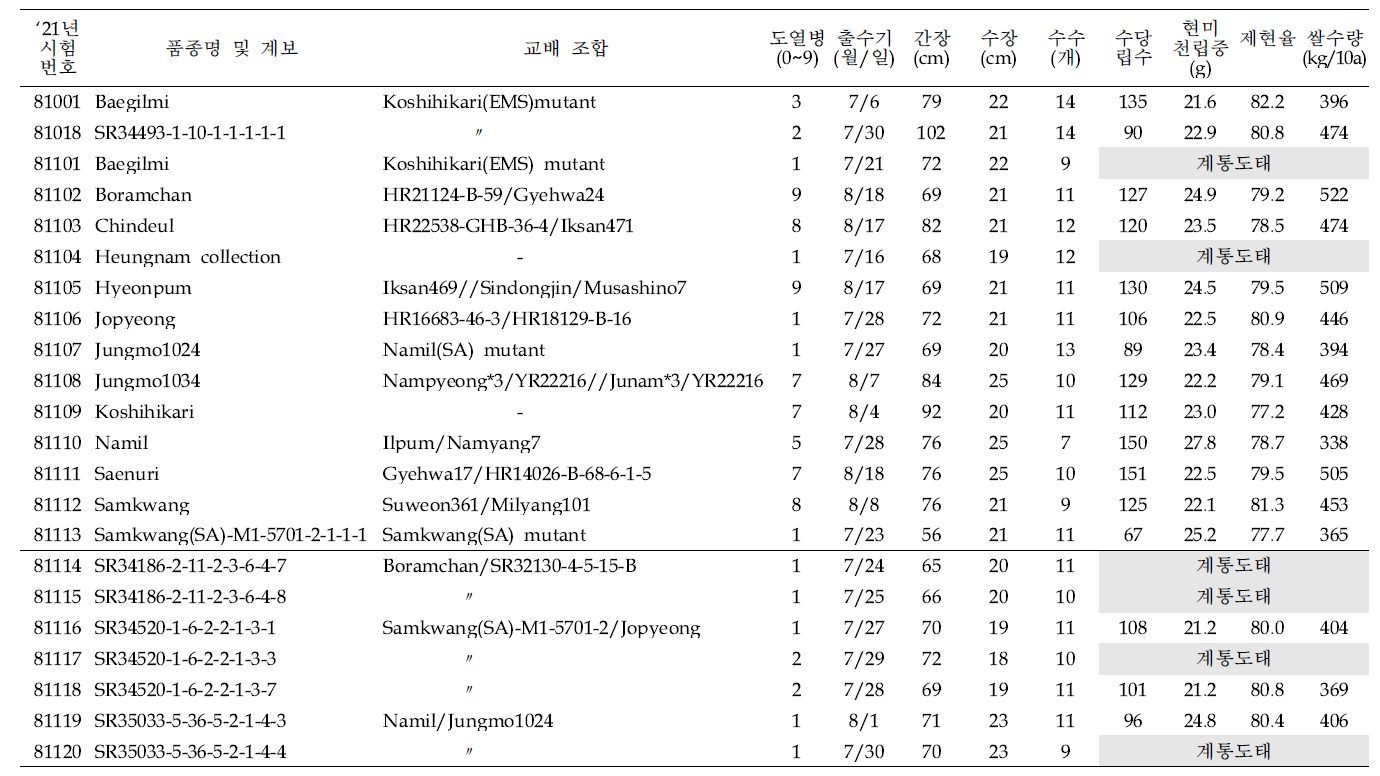 출수기·미질 변이 저감 육종소재 생산력(보통기 OYT) 시험 결과요약 (1본식, 1반복, 40주 수확평가)