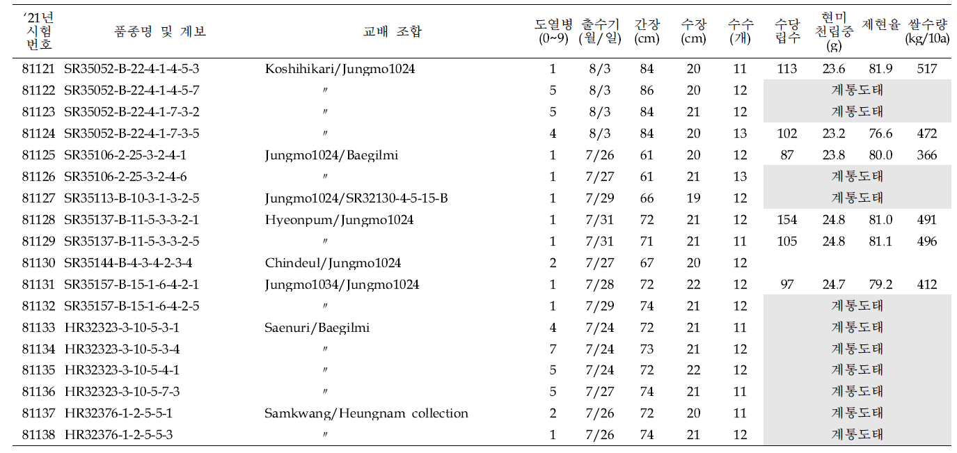 (계속) 출수기·미질 변이 저감 육종소재 생산력(보통기 OYT) 시험 결과요약 (1본식, 1반복, 40주 수확평가)