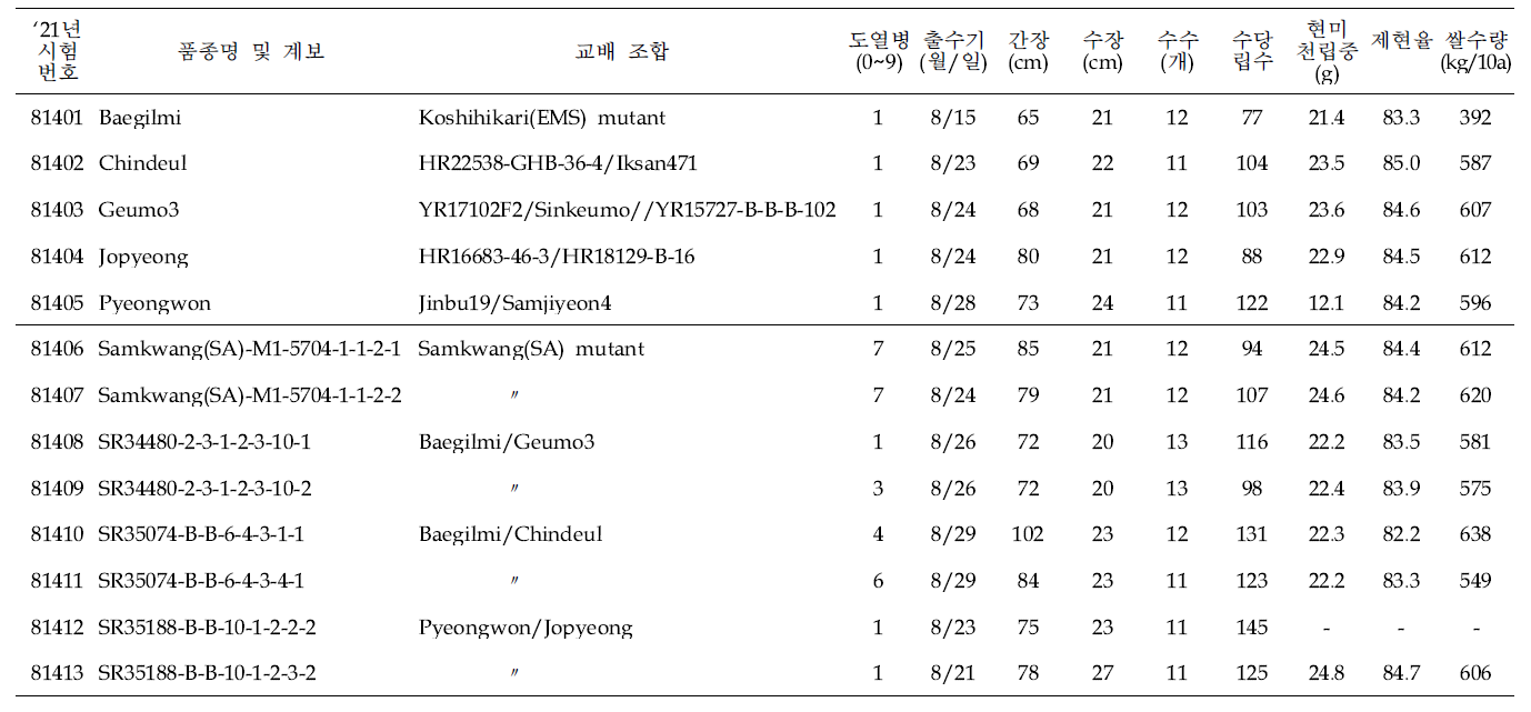 출수기·미질 변이 저감 육종소재 생산력(만기 OYT) 시험 결과요약 (1본식, 1반복, 40주 수확평가)