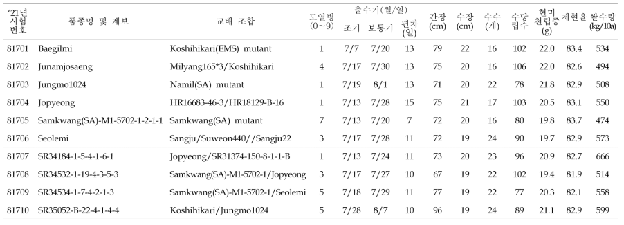 출수기·미질 변이 저감 육종소재 생산력(조기 PYT) 시험 결과요약 (3본식, 2반복, 100주 수확평가)