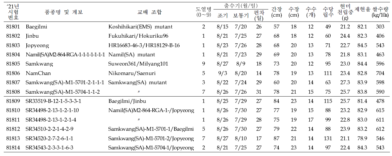 출수기·미질 변이 저감 육종소재 생산력(만기 PYT) 시험 결과요약 (5본식, 2반복, 100주 수확평가)