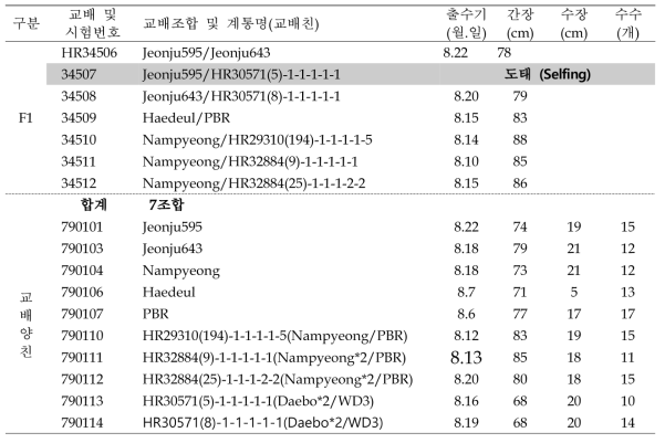 혐기발아 내성 벼 육종소재 개발 위한 F1 식물체 양성 및 작물학적 특성