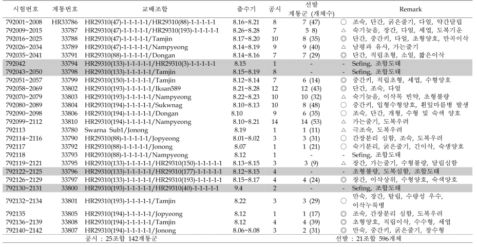 혐기발아 내성 F2 집단 선발 요약