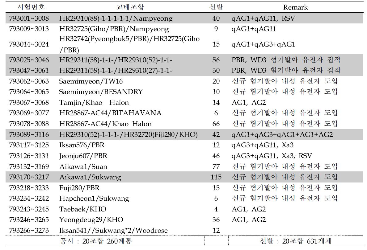 혐기발아 내성 F3 계통 선발 요약