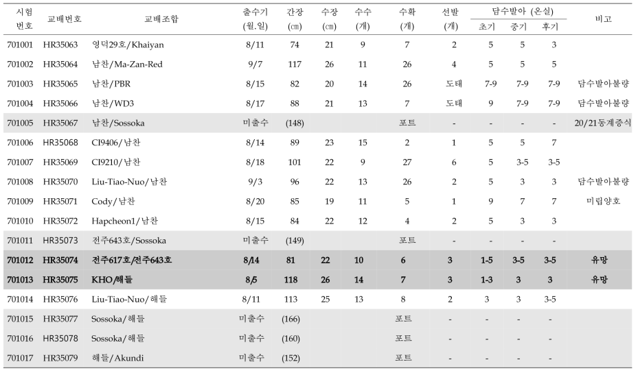 2020년 혐기 F1 개체 육성 및 선발 요약