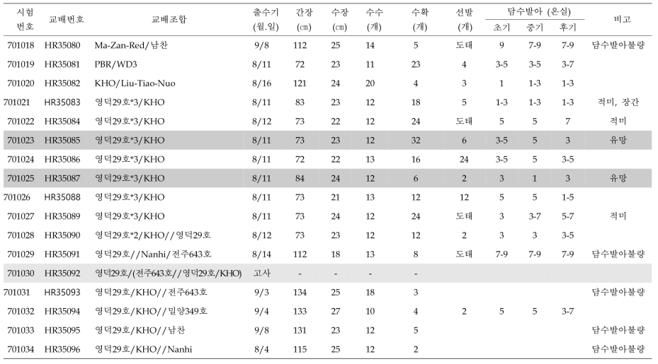 (계속) 2020년 혐기 F1 개체 육성 및 선발 요약