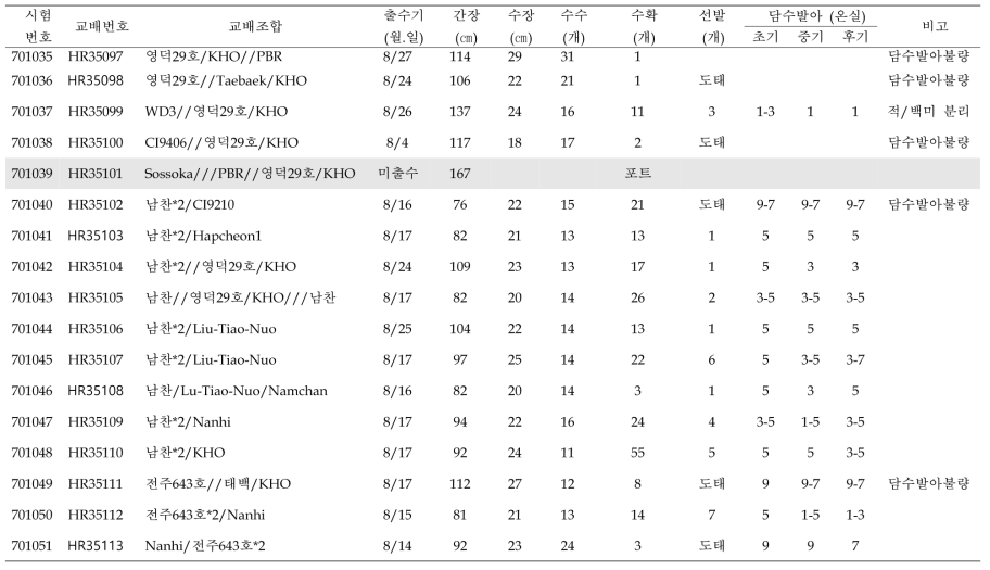 (계속) 2020년 혐기 F1 개체 육성 및 선발 요약