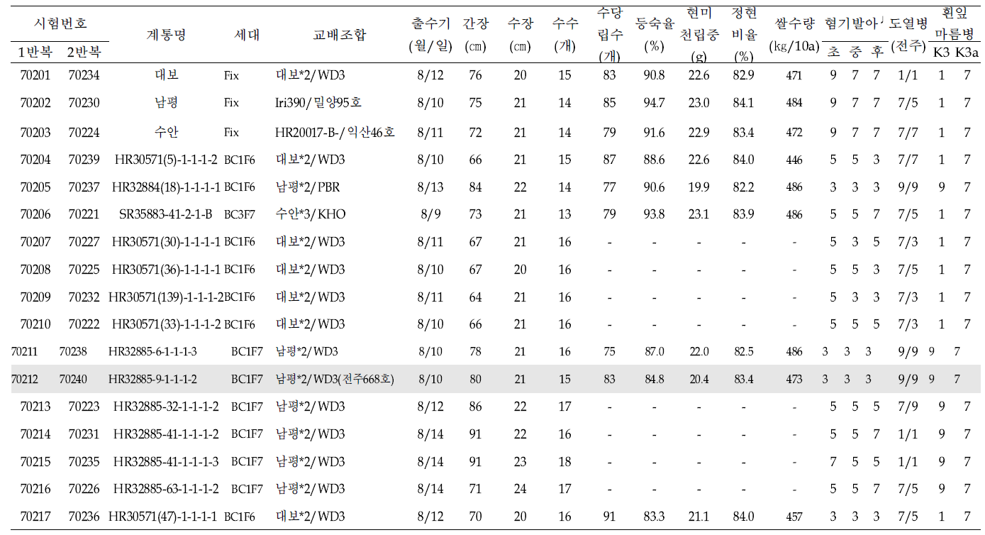 2020년 혐기 PYT 생육 요약