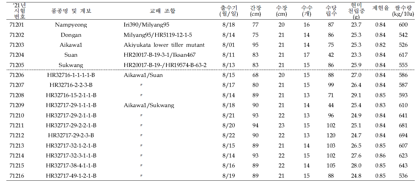 혐기발아 생산력(혐기 PYT) 시험 결과요약 (3본식, 2반복, 100주 수확평가)