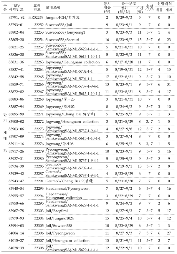(계속) 출수기·미질 변이 저감 벼 육종소재 개발 위한 F3 계통 공시 및 선발내역