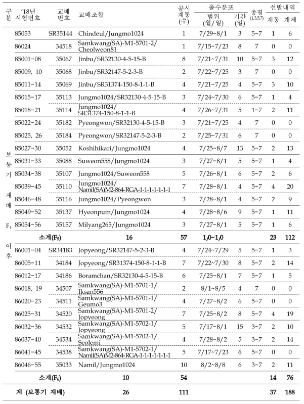 출수기·미질 변이 저감 벼 육종소재 개발 위한 F4 이후 계통 공시 및 선발내역