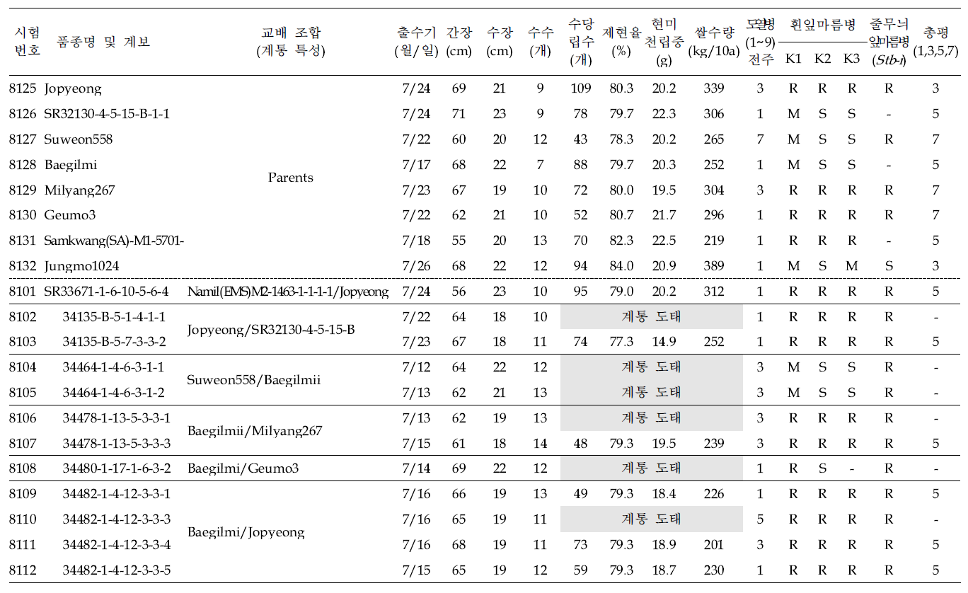 출수기·미질 변이 저감 육종소재 생산력(보통기 OYT) 시험 결과요약 (9개 조합, 23개 계통; 1본식, 1반복, 40주 수확평가)