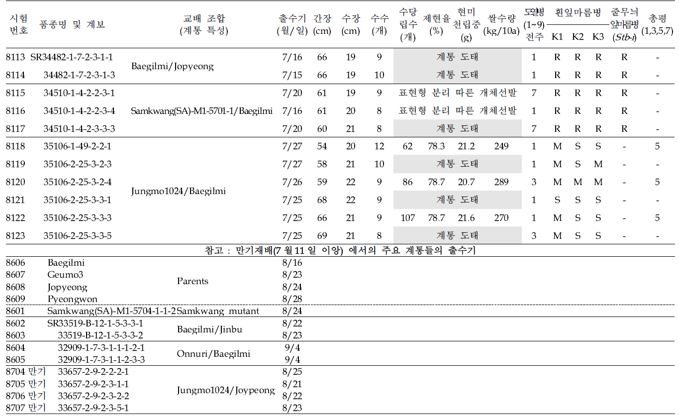 (계속) 출수기·미질 변이 저감 육종소재 생산력(보통기 OYT) 시험 결과요약 (9개 조합, 23개 계통; 1본식, 1반복, 40주 수확평가)