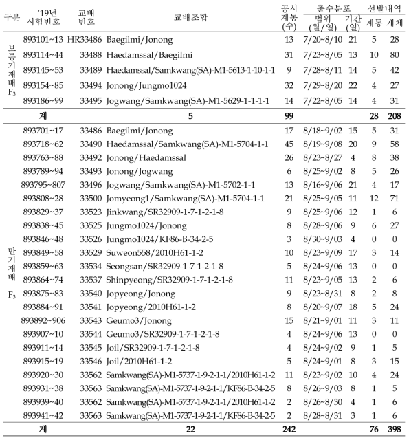 출수기·미질 변이 저감 벼 육종소재 개발 위한 F3 계통 공시 및 선발내역