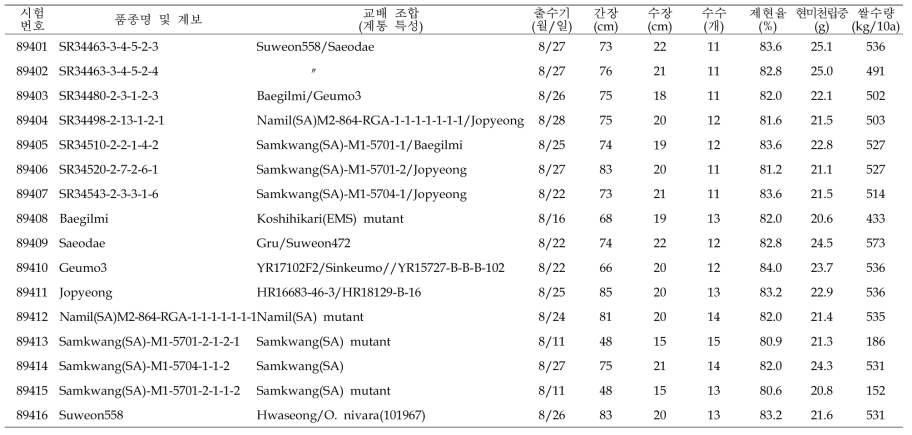 출수기·미질 변이 저감 육종소재 생산력(만기 OYT) 시험 결과요약 (1본식, 1반복, 40주 수확평가)