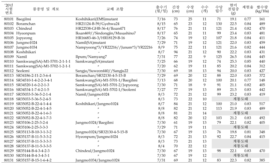 출수기·미질 변이 저감 육종소재 생산력(보통기 OYT) 시험 결과요약 (1본식, 1반복, 40주 수확평가)