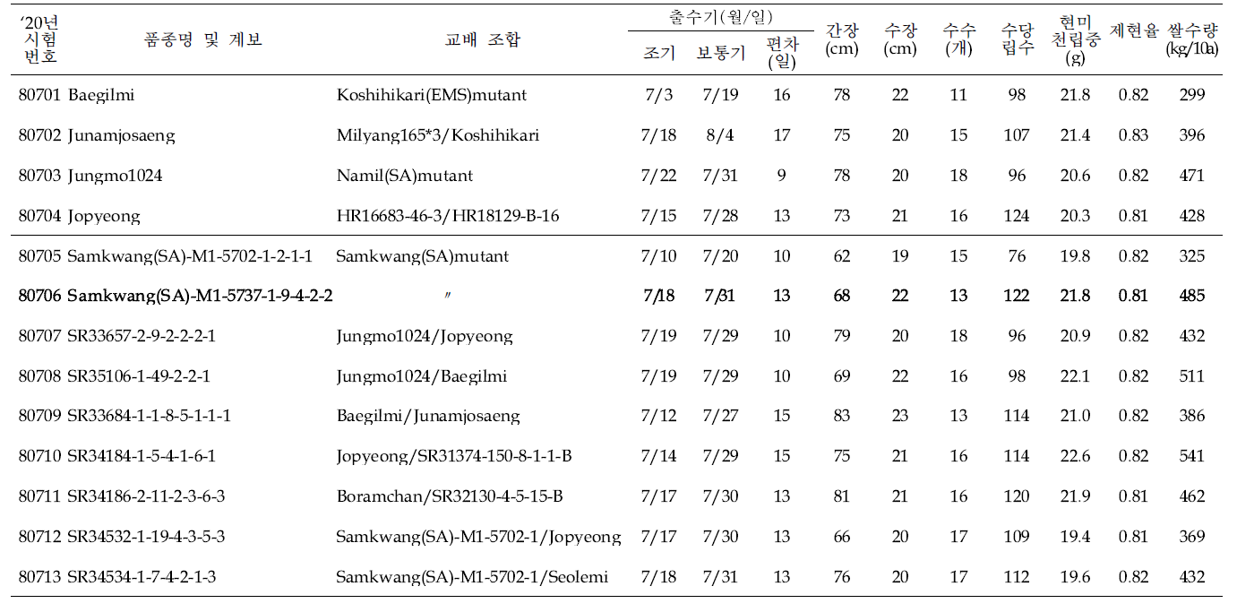 출수기·미질 변이 저감 육종소재 생산력(조기 PYT) 시험 결과요약 (3본식, 2반복, 100주 수확평가)